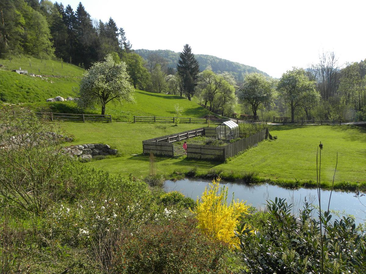 Zeidelhof Villa Lilienfeld Esterno foto